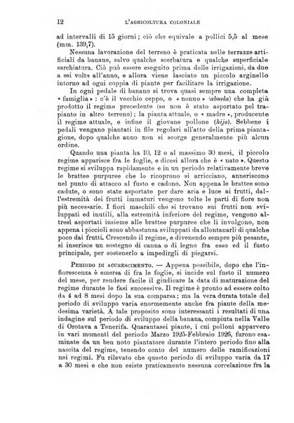 L'agricoltura coloniale organo dell'Istituto agricolo coloniale italiano e dell'Ufficio agrario sperimentale dell'Eritrea