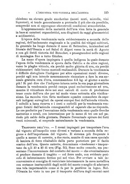 L'agricoltura coloniale organo dell'Istituto agricolo coloniale italiano e dell'Ufficio agrario sperimentale dell'Eritrea