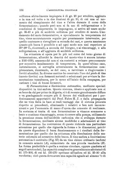 L'agricoltura coloniale organo dell'Istituto agricolo coloniale italiano e dell'Ufficio agrario sperimentale dell'Eritrea