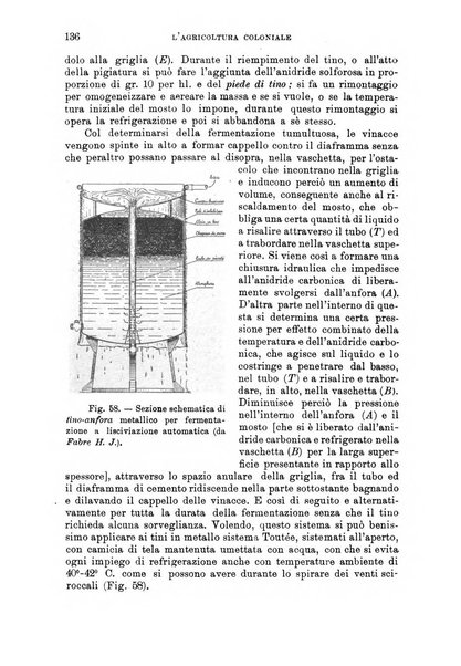 L'agricoltura coloniale organo dell'Istituto agricolo coloniale italiano e dell'Ufficio agrario sperimentale dell'Eritrea