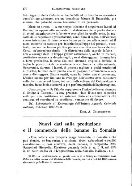 L'agricoltura coloniale organo dell'Istituto agricolo coloniale italiano e dell'Ufficio agrario sperimentale dell'Eritrea