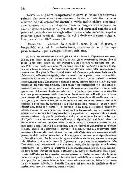 L'agricoltura coloniale organo dell'Istituto agricolo coloniale italiano e dell'Ufficio agrario sperimentale dell'Eritrea