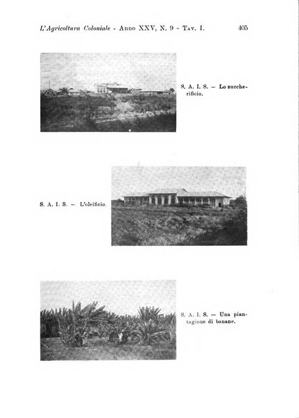 L'agricoltura coloniale organo dell'Istituto agricolo coloniale italiano e dell'Ufficio agrario sperimentale dell'Eritrea