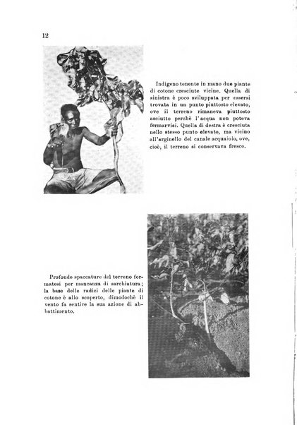 L'agricoltura coloniale organo dell'Istituto agricolo coloniale italiano e dell'Ufficio agrario sperimentale dell'Eritrea