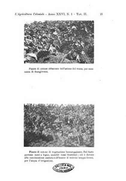 L'agricoltura coloniale organo dell'Istituto agricolo coloniale italiano e dell'Ufficio agrario sperimentale dell'Eritrea