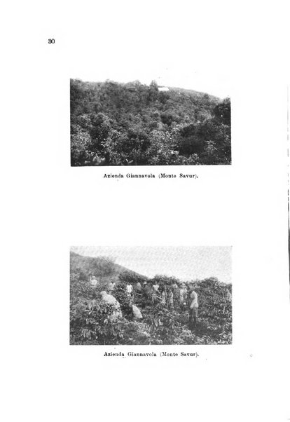 L'agricoltura coloniale organo dell'Istituto agricolo coloniale italiano e dell'Ufficio agrario sperimentale dell'Eritrea