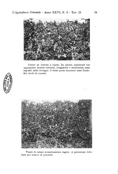 L'agricoltura coloniale organo dell'Istituto agricolo coloniale italiano e dell'Ufficio agrario sperimentale dell'Eritrea