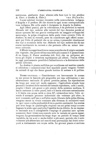 L'agricoltura coloniale organo dell'Istituto agricolo coloniale italiano e dell'Ufficio agrario sperimentale dell'Eritrea