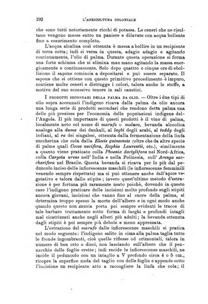 L'agricoltura coloniale organo dell'Istituto agricolo coloniale italiano e dell'Ufficio agrario sperimentale dell'Eritrea