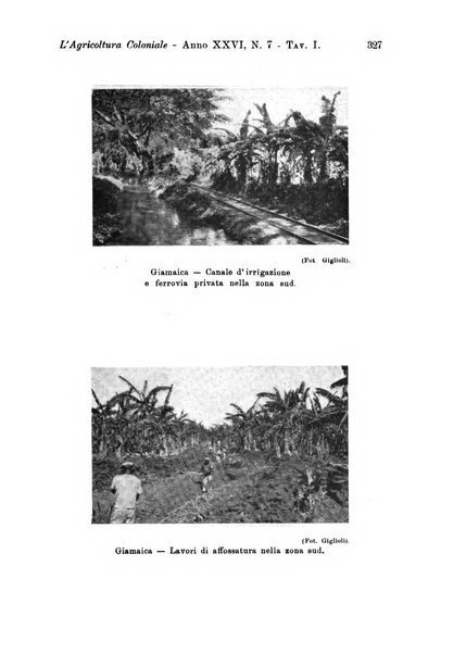 L'agricoltura coloniale organo dell'Istituto agricolo coloniale italiano e dell'Ufficio agrario sperimentale dell'Eritrea