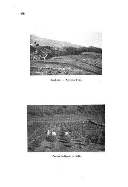 L'agricoltura coloniale organo dell'Istituto agricolo coloniale italiano e dell'Ufficio agrario sperimentale dell'Eritrea