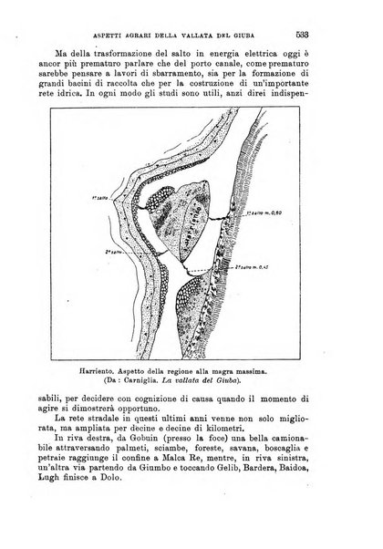 L'agricoltura coloniale organo dell'Istituto agricolo coloniale italiano e dell'Ufficio agrario sperimentale dell'Eritrea