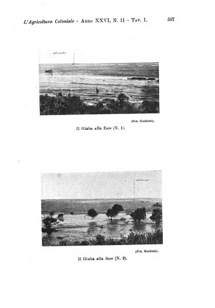 L'agricoltura coloniale organo dell'Istituto agricolo coloniale italiano e dell'Ufficio agrario sperimentale dell'Eritrea