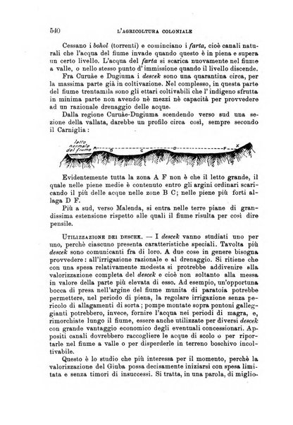 L'agricoltura coloniale organo dell'Istituto agricolo coloniale italiano e dell'Ufficio agrario sperimentale dell'Eritrea