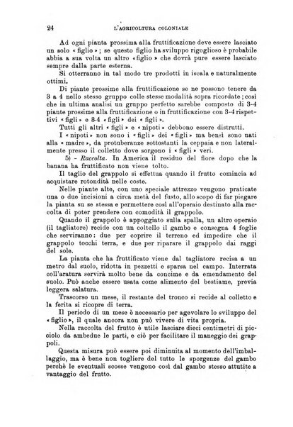 L'agricoltura coloniale organo dell'Istituto agricolo coloniale italiano e dell'Ufficio agrario sperimentale dell'Eritrea