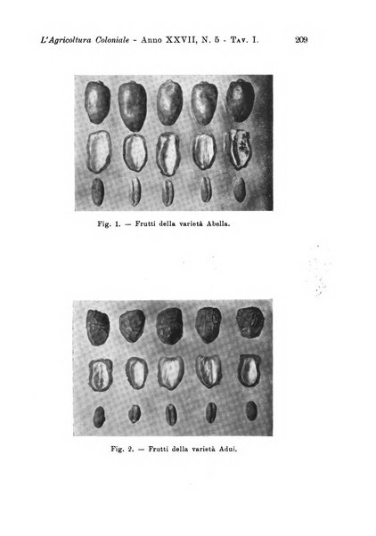 L'agricoltura coloniale organo dell'Istituto agricolo coloniale italiano e dell'Ufficio agrario sperimentale dell'Eritrea