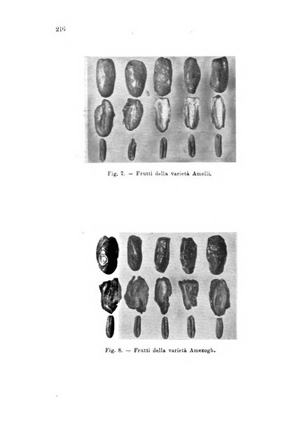 L'agricoltura coloniale organo dell'Istituto agricolo coloniale italiano e dell'Ufficio agrario sperimentale dell'Eritrea