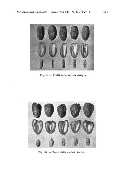 L'agricoltura coloniale organo dell'Istituto agricolo coloniale italiano e dell'Ufficio agrario sperimentale dell'Eritrea