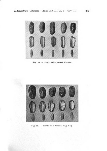 L'agricoltura coloniale organo dell'Istituto agricolo coloniale italiano e dell'Ufficio agrario sperimentale dell'Eritrea