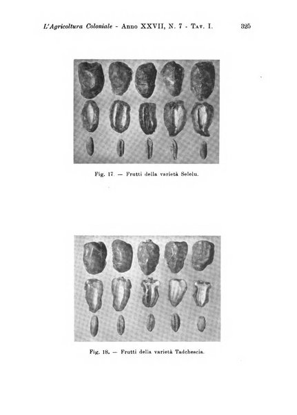 L'agricoltura coloniale organo dell'Istituto agricolo coloniale italiano e dell'Ufficio agrario sperimentale dell'Eritrea