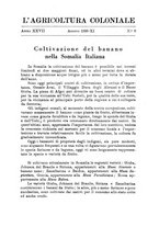 giornale/TO00199161/1933/unico/00000453