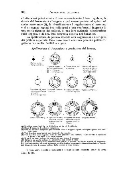 L'agricoltura coloniale organo dell'Istituto agricolo coloniale italiano e dell'Ufficio agrario sperimentale dell'Eritrea