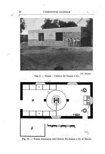 L'agricoltura coloniale organo dell'Istituto agricolo coloniale italiano e dell'Ufficio agrario sperimentale dell'Eritrea