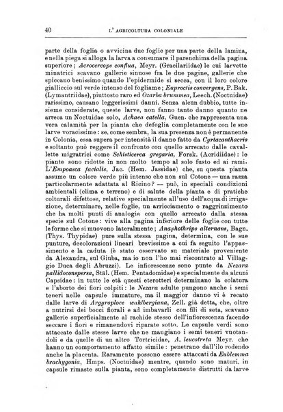 L'agricoltura coloniale organo dell'Istituto agricolo coloniale italiano e dell'Ufficio agrario sperimentale dell'Eritrea