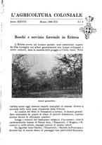 giornale/TO00199161/1934/unico/00000133