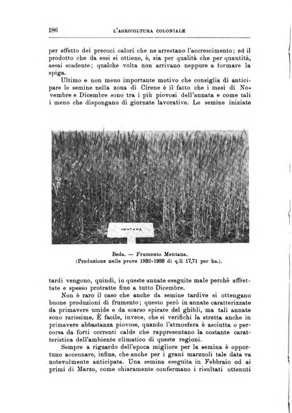 L'agricoltura coloniale organo dell'Istituto agricolo coloniale italiano e dell'Ufficio agrario sperimentale dell'Eritrea