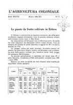 giornale/TO00199161/1934/unico/00000257