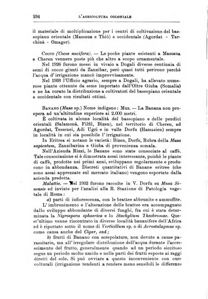 L'agricoltura coloniale organo dell'Istituto agricolo coloniale italiano e dell'Ufficio agrario sperimentale dell'Eritrea