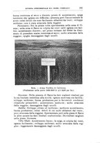 giornale/TO00199161/1934/unico/00000273