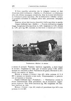 giornale/TO00199161/1934/unico/00000326