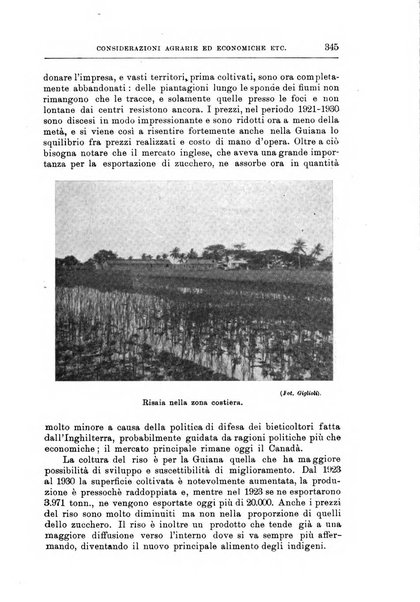 L'agricoltura coloniale organo dell'Istituto agricolo coloniale italiano e dell'Ufficio agrario sperimentale dell'Eritrea