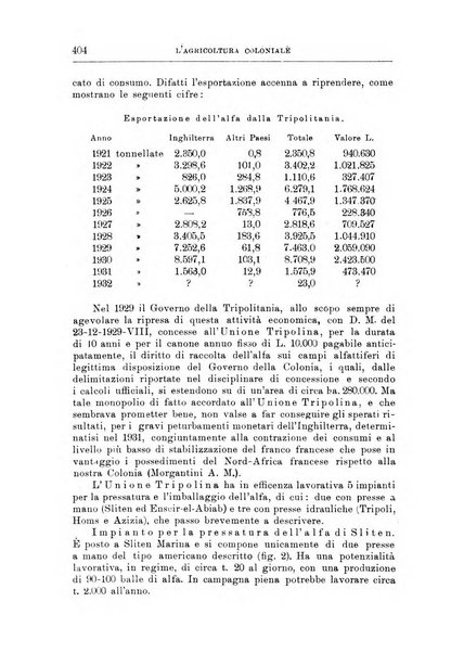 L'agricoltura coloniale organo dell'Istituto agricolo coloniale italiano e dell'Ufficio agrario sperimentale dell'Eritrea