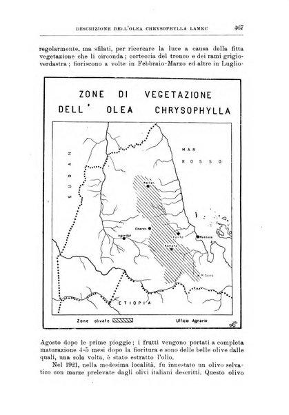 L'agricoltura coloniale organo dell'Istituto agricolo coloniale italiano e dell'Ufficio agrario sperimentale dell'Eritrea