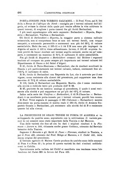 L'agricoltura coloniale organo dell'Istituto agricolo coloniale italiano e dell'Ufficio agrario sperimentale dell'Eritrea