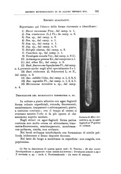 L'agricoltura coloniale organo dell'Istituto agricolo coloniale italiano e dell'Ufficio agrario sperimentale dell'Eritrea