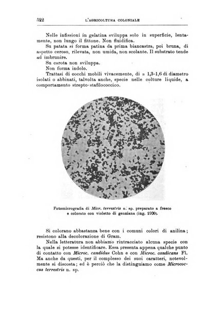 L'agricoltura coloniale organo dell'Istituto agricolo coloniale italiano e dell'Ufficio agrario sperimentale dell'Eritrea