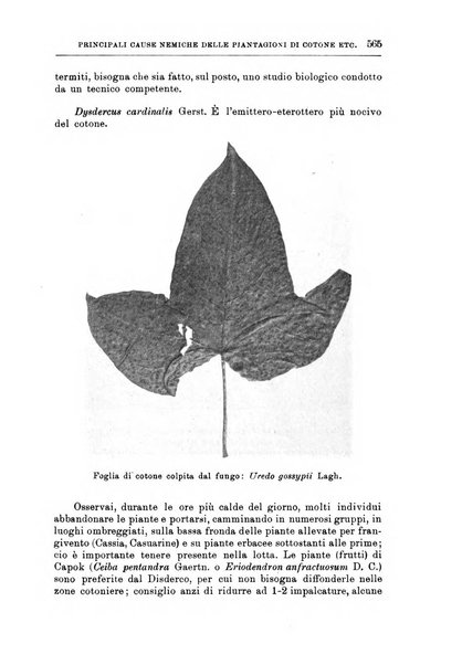 L'agricoltura coloniale organo dell'Istituto agricolo coloniale italiano e dell'Ufficio agrario sperimentale dell'Eritrea