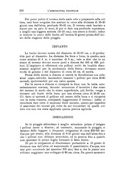 L'agricoltura coloniale organo dell'Istituto agricolo coloniale italiano e dell'Ufficio agrario sperimentale dell'Eritrea