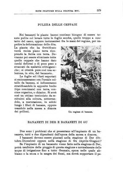 L'agricoltura coloniale organo dell'Istituto agricolo coloniale italiano e dell'Ufficio agrario sperimentale dell'Eritrea