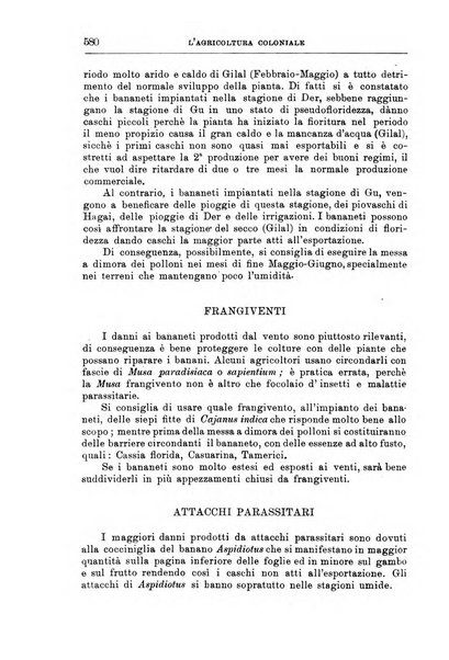 L'agricoltura coloniale organo dell'Istituto agricolo coloniale italiano e dell'Ufficio agrario sperimentale dell'Eritrea