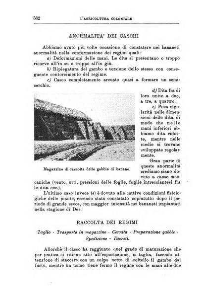 L'agricoltura coloniale organo dell'Istituto agricolo coloniale italiano e dell'Ufficio agrario sperimentale dell'Eritrea