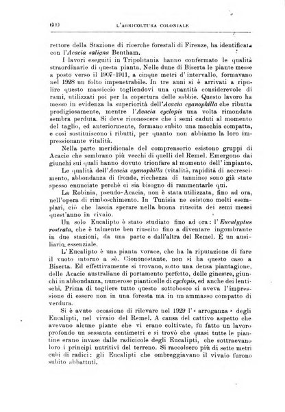 L'agricoltura coloniale organo dell'Istituto agricolo coloniale italiano e dell'Ufficio agrario sperimentale dell'Eritrea