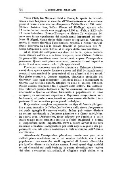 L'agricoltura coloniale organo dell'Istituto agricolo coloniale italiano e dell'Ufficio agrario sperimentale dell'Eritrea