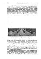 giornale/TO00199161/1935/unico/00000044