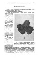 giornale/TO00199161/1935/unico/00000089
