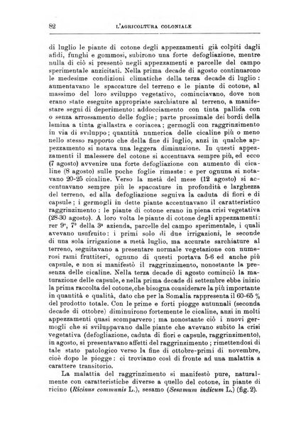 L'agricoltura coloniale organo dell'Istituto agricolo coloniale italiano e dell'Ufficio agrario sperimentale dell'Eritrea